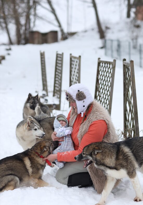 HUSKY PARK LATVIA apmeklejums